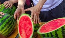 深圳学校教室吃瓜,瓜果飘香学习时光