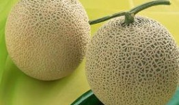 吃哈密瓜舌麻,甜蜜与麻感的完美邂逅