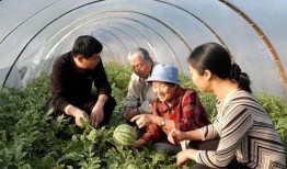 让中国吃瓜自由的科学家,让中国民众享受“吃瓜自由”的智慧时代