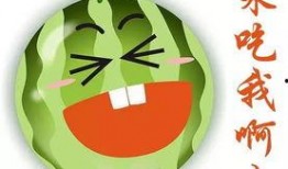 吃瓜吃多了不舒服,揭秘健康饮食之道