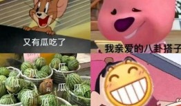 251pdf吃瓜,吃瓜群众眼中的神秘文件