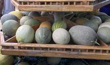 新疆最新吃瓜视频,揭秘当地特色美食与风土人情