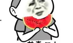 无表情挑战吃瓜群众,吃瓜群众如何应对这场表情风暴
