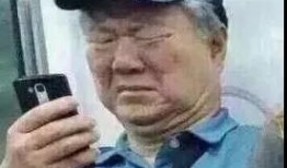 杨烁后排吃瓜,揭秘娱乐圈幕后趣闻