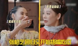 宁静吃瓜,揭秘娱乐圈幕后真相