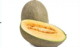 吃哈密瓜舌麻,甜蜜与麻感的完美邂逅