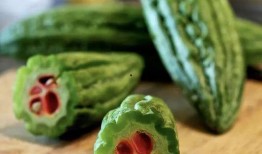 黄玉杰吃瓜,揭秘娱乐圈的“瓜田”风云