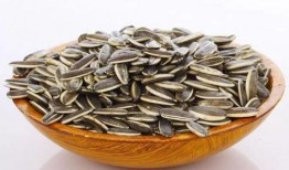 金瓜子奉旨吃瓜,揭秘宫廷中的趣味生活