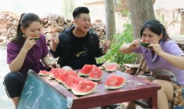 合作吃瓜比赛视频,合作吃瓜大赛精彩瞬间大盘点