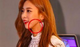 吃瓜有风险byLindsay