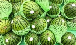 浙江旅游吃瓜,一瓜一世界，味蕾之旅