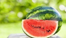 每天吃瓜的好处,揭秘吃瓜的五大神奇好处