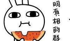 吃瓜心态敲键盘,键盘上的娱乐盛宴