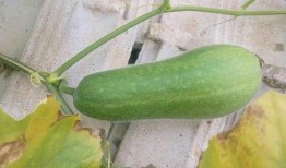 带着吃瓜,揭秘娱乐圈背后的故事