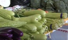 请你吃瓜不苦视频,揭秘网络短视频的传播魅力