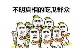 我在豪门吃瓜,揭秘豪门背后的吃瓜故事