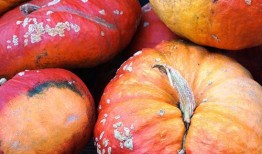 瓜发霉了还得吃吗,瓜发霉了还能吃吗？揭秘食品安全与应急处理