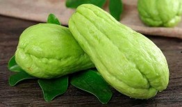 吃瓜很多,吃瓜群众眼中的明星生活