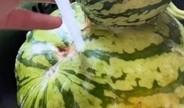 吃瓜视频搞笑原创,带你领略欢乐无限