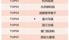 大数据吃瓜8203,吃瓜群众背后的8203现象深度解析