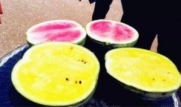 网爆热点吃瓜,揭秘吃瓜群众的狂欢盛宴