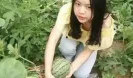 51瓜姐吃瓜王,揭秘娱乐圈幕后真相，带你领略明星们的真实生活