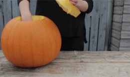 笋瓜吃瓜,一场别开生面的夏日盛宴