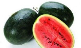 唐月明吃大瓜,揭秘吃大瓜的欢乐时光