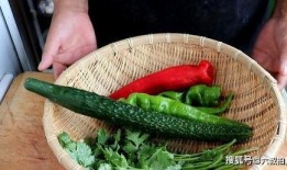 老虎菜吃瓜网站,揭秘网络美食新潮流