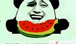 许昌关于吃瓜的梗,一场关于吃瓜的欢乐盛宴