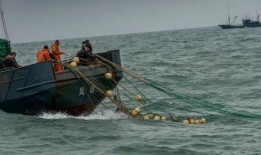 中国渔民演习区外吃瓜