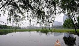 忆江南吃瓜,瓜果飘香，品味夏日风情