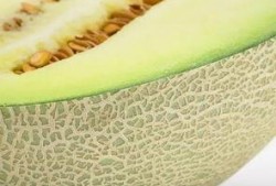 瓤可以吃的瓜,探寻可食瓜果的奇妙之旅