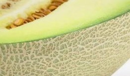 瓤可以吃的瓜,探寻可食瓜果的奇妙之旅