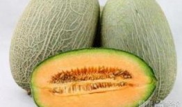 哈密瓜蜜瓜怎么吃,解锁夏日清新口感