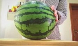 不能错过吃瓜,那些不能错过的美味瓜果盛宴