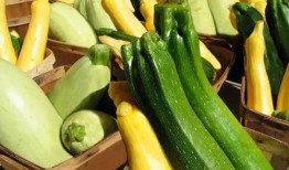 吃瓜256,一场关于美食与文化的盛宴