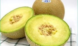 脾虚宝宝可以吃哈密瓜吗,脾虚宝宝适宜食用哈密瓜吗？营养解析与食用建议