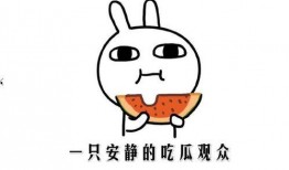 吃瓜网络事件,揭秘网络吃瓜事件的背后真相