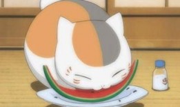 吃瓜猫吃西瓜可爱头像,吃瓜猫吃西瓜可爱头像萌动人心