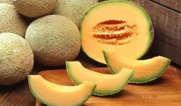 哈密瓜幼瓜能吃吗怎么吃,口感与营养的双重享受
