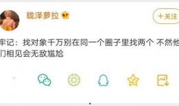 九尾一诺吃瓜,揭秘娱乐圈的瓜田秘闻