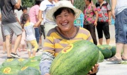 德州禹城吃瓜,德州禹城特色吃瓜之旅