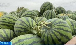 自由吃瓜 小组,揭秘网络社交圈的轻松娱乐之道