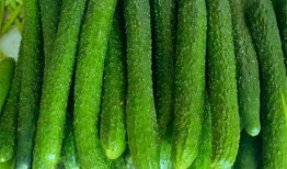 棒棒瓜咋吃,探索美味新境界