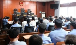 法院庭审吃瓜事件,一场意外的网络围观风暴