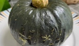 婴儿吃黄金贝贝瓜,宝宝辅食新选择，营养美味两不误