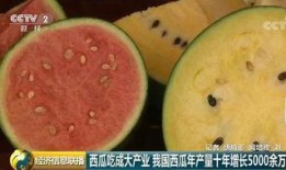 中国吃瓜群众论坛,揭秘网络热议背后的真相与趣味