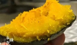 婴儿吃黄金贝贝瓜,宝宝辅食新选择，营养美味两不误