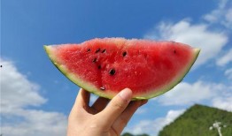 夏天吃瓜的声音,炎炎夏日里的清凉旋律